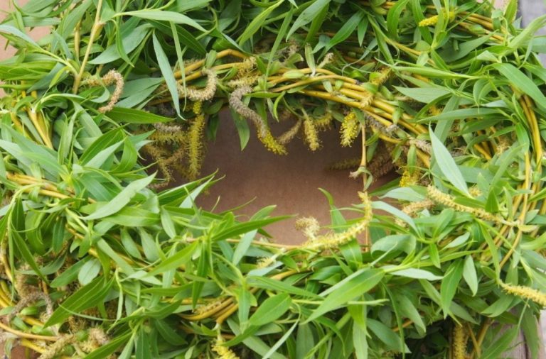 Цветница – един от най-красивите пролетни празници